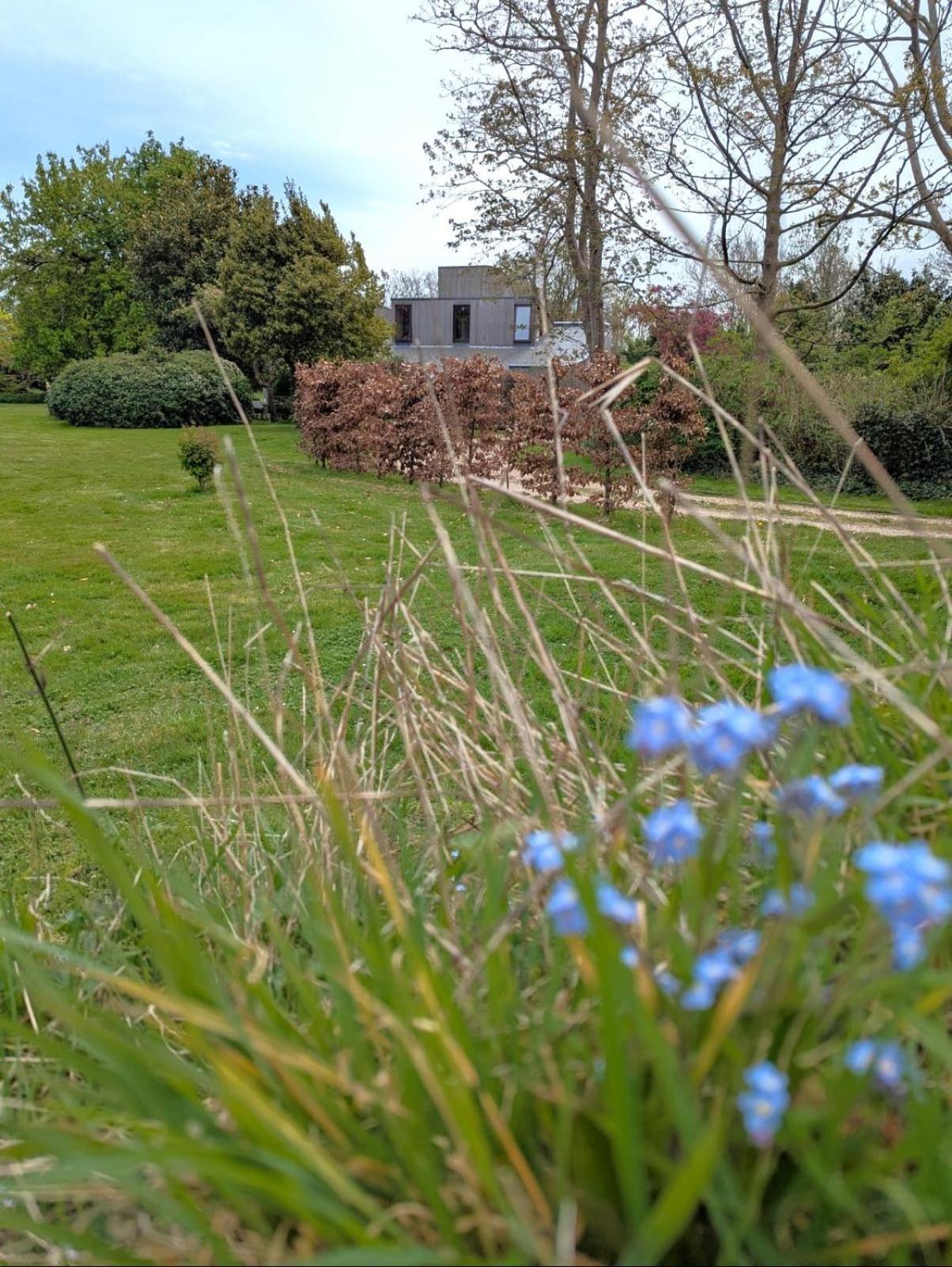 Unique & Rural Child Friendly Annexe With Large Gardens, Games & Tennis Court - Chichester Holiday Properties Exterior foto