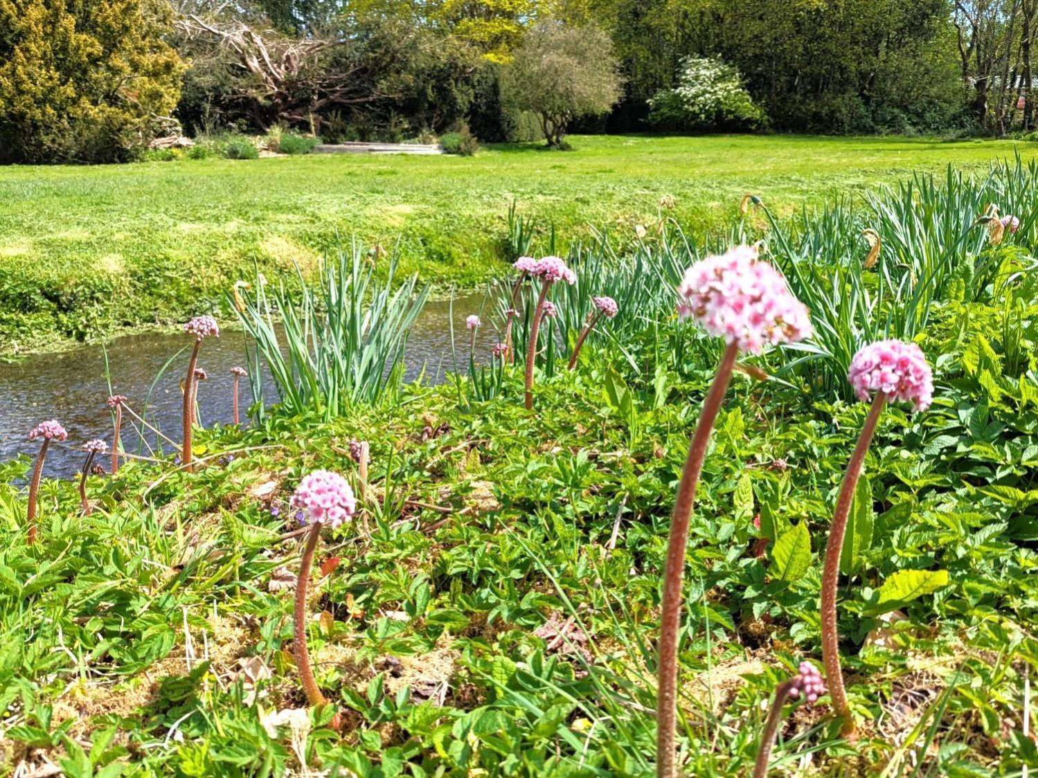 Unique & Rural Child Friendly Annexe With Large Gardens, Games & Tennis Court - Chichester Holiday Properties Exterior foto