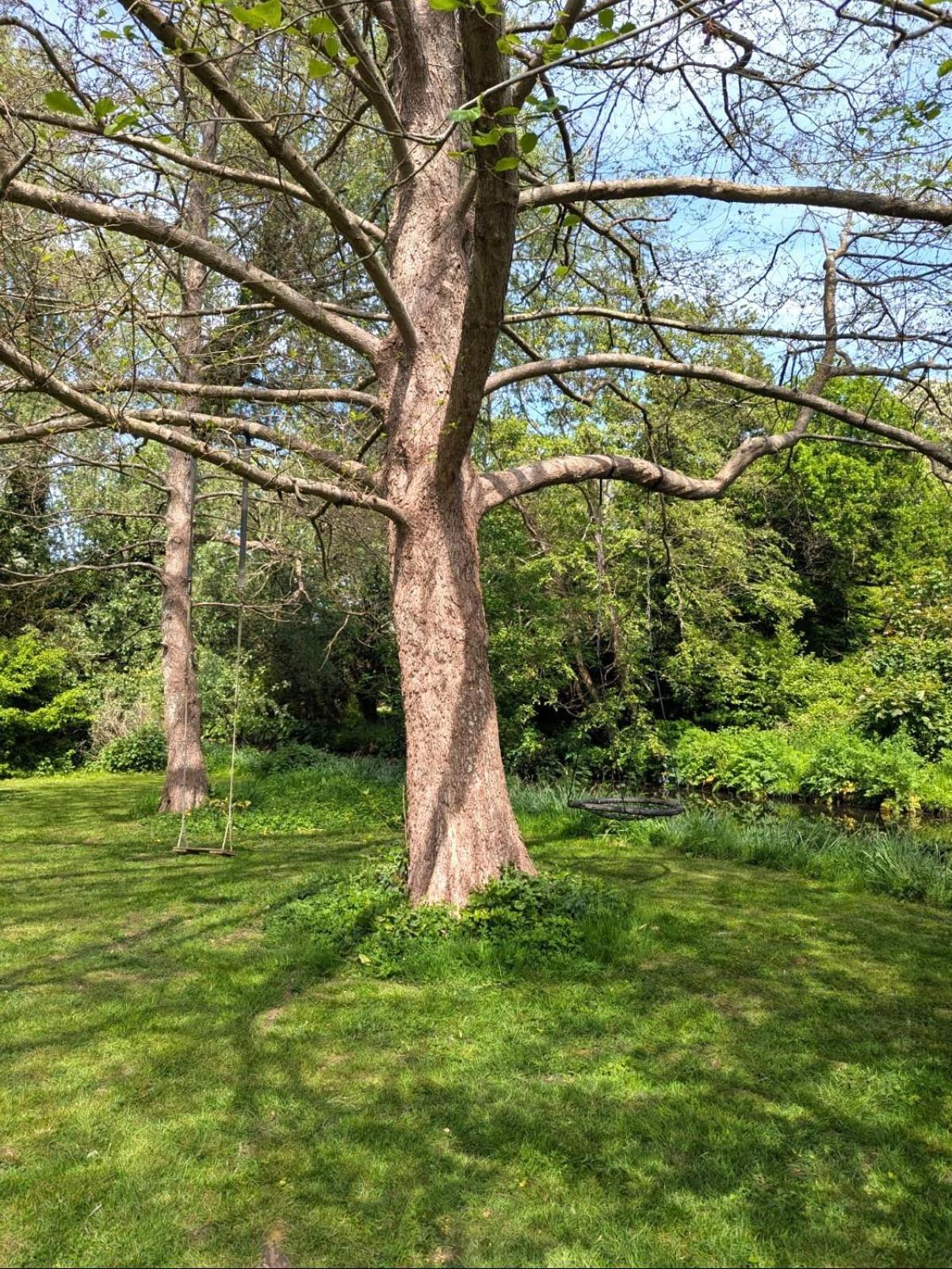 Unique & Rural Child Friendly Annexe With Large Gardens, Games & Tennis Court - Chichester Holiday Properties Exterior foto